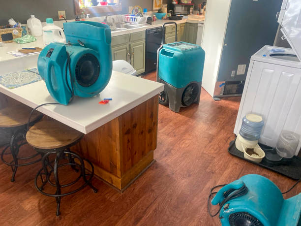 Best Local water damage restoration  in Nebo, NC