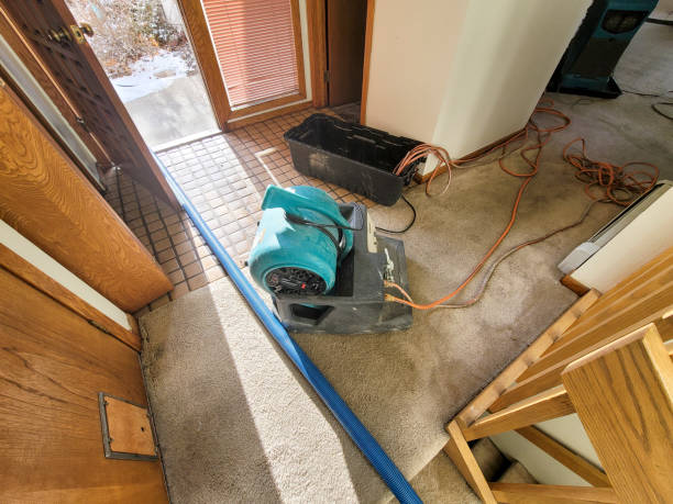Best Water damage restoration near me  in Nebo, NC