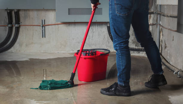 Best Water damage repair service  in Nebo, NC
