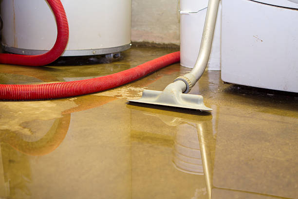 Best Flooded house restoration  in Nebo, NC