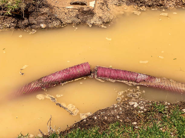 Best Mold removal after water damage  in Nebo, NC